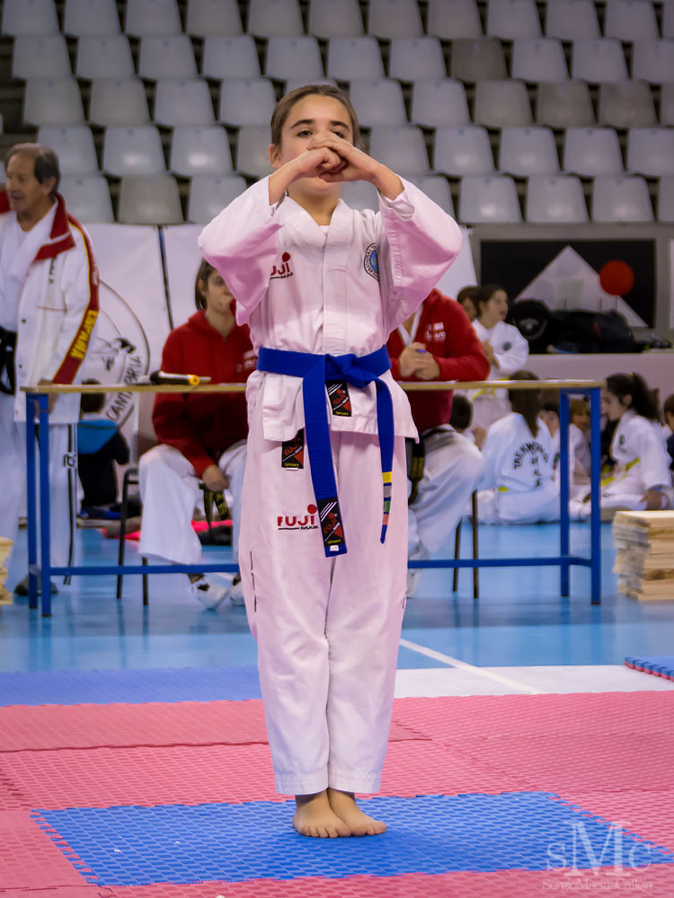 TAEKWONDO CAMPEONATO PAREJAS ABRIL 2018_1810.jpg